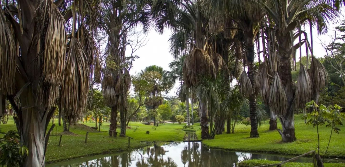 Jardins Florença, edifício em Jardim Florença, Goiânia | Mais Novos Imóveis, foto 5