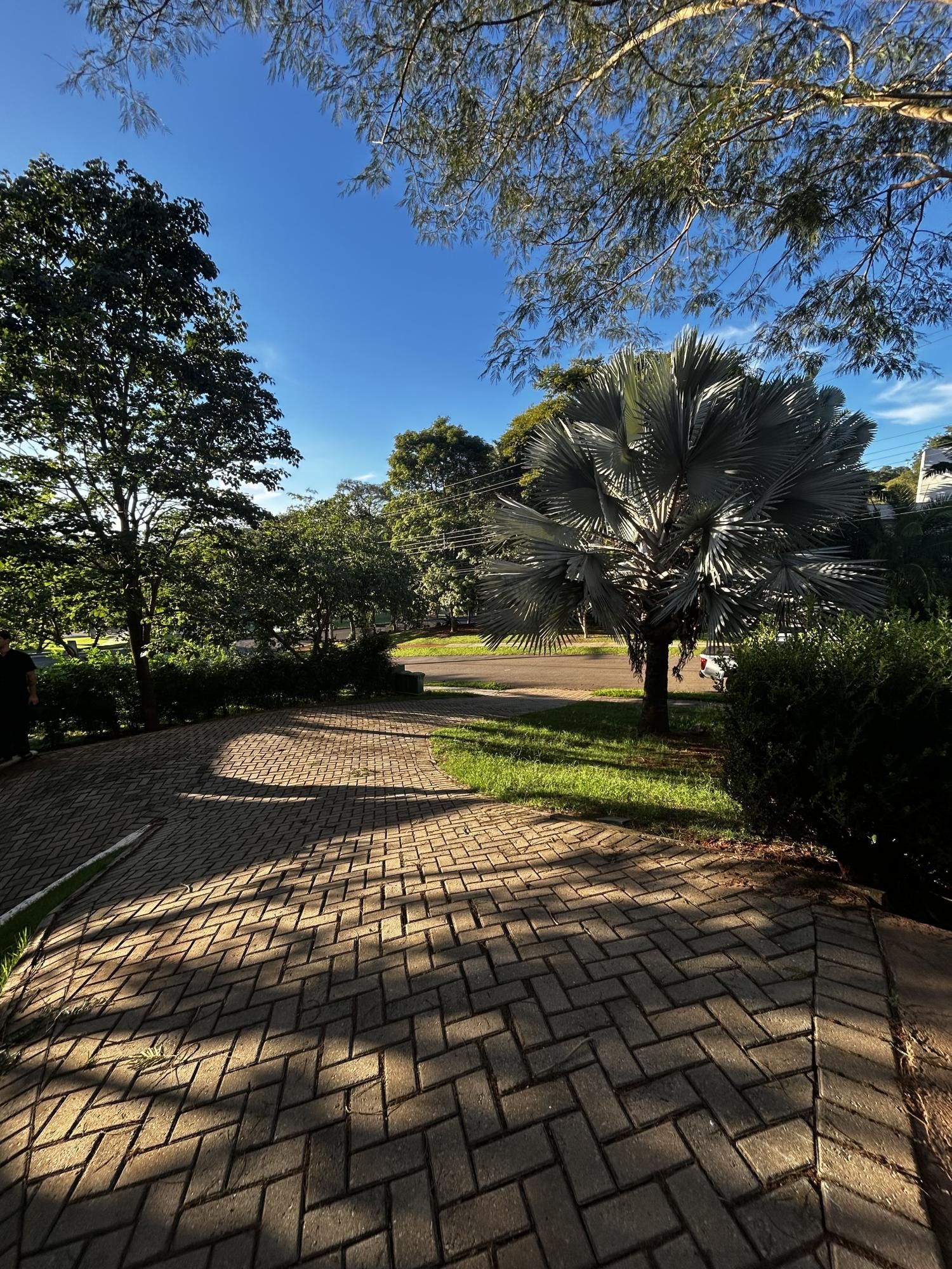 Casa em Condomínio à venda no Aldeia do Vale, Residencial Aldeia do Vale, Goiânia | Mais Novos Imóveis, foto 3