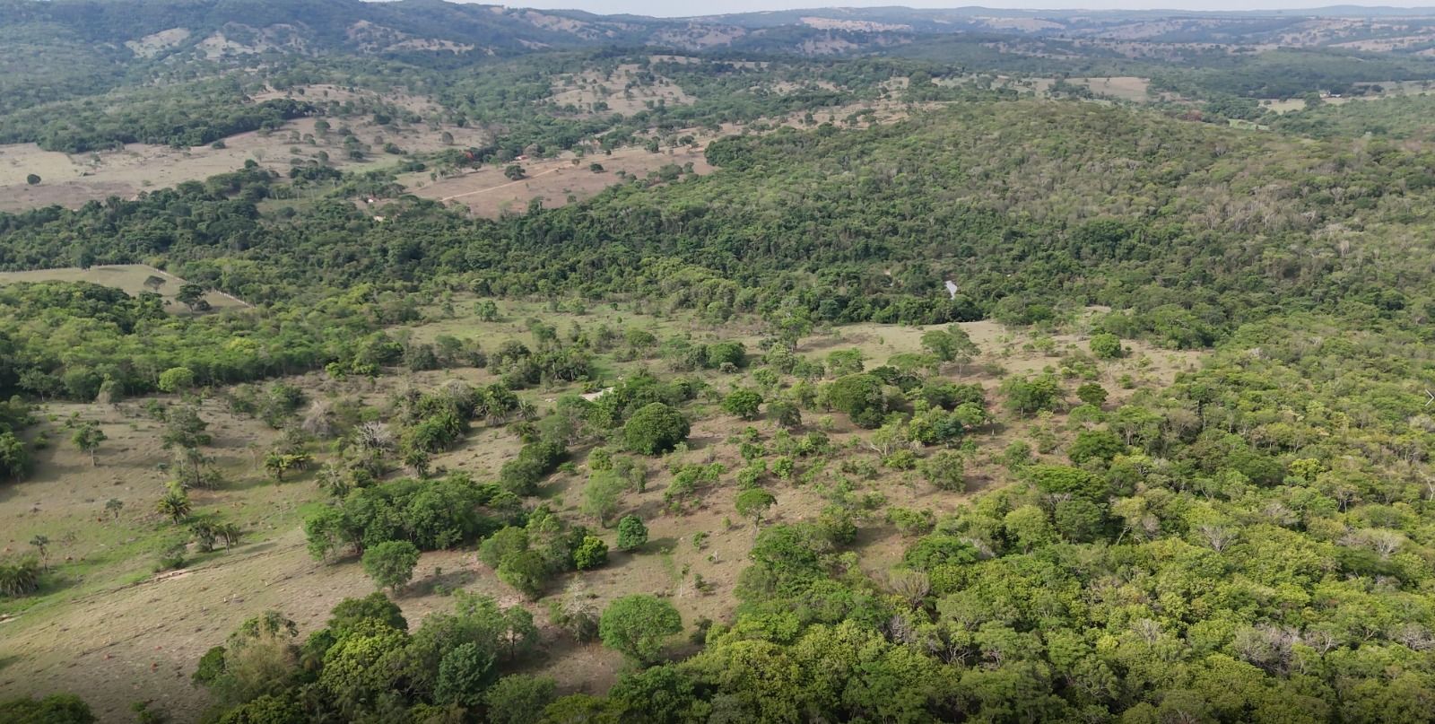 Chácara/Sítio/Fazenda à venda, Área Rural de Hidrolândia, Hidrolândia | Mais Novos Imóveis, foto 3