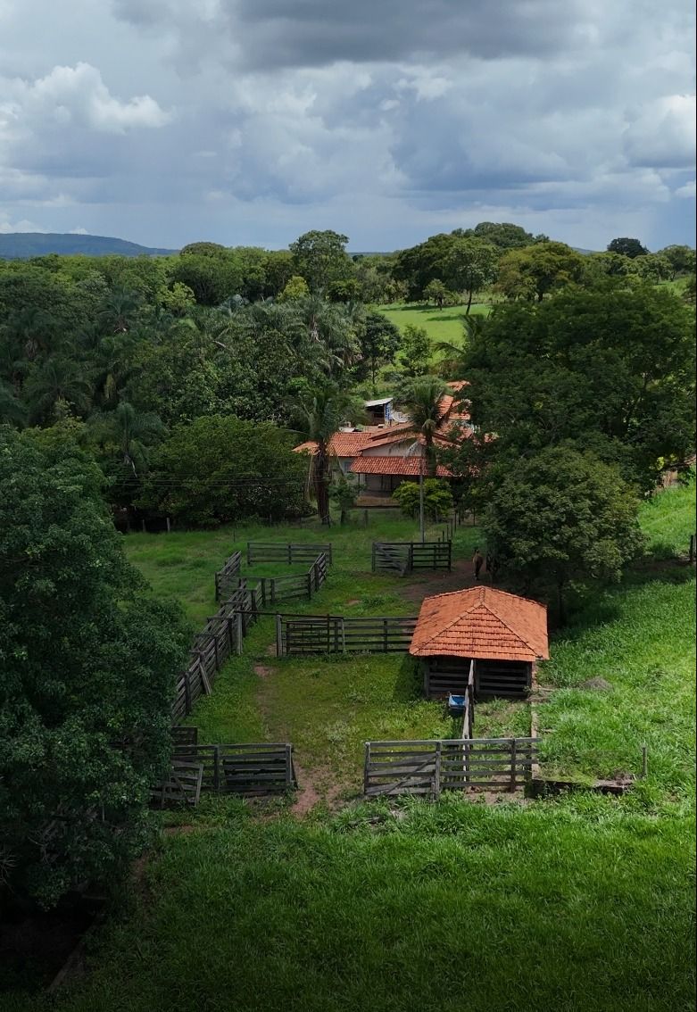 Chácara/Sítio/Fazenda à venda, Área Rural de Hidrolândia, Hidrolândia | Mais Novos Imóveis, foto 9