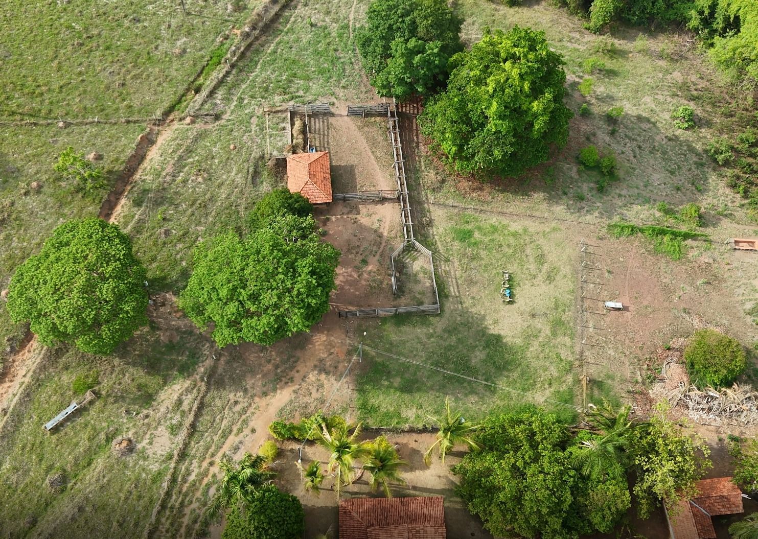 Chácara/Sítio/Fazenda à venda, Área Rural de Hidrolândia, Hidrolândia | Mais Novos Imóveis, foto 4
