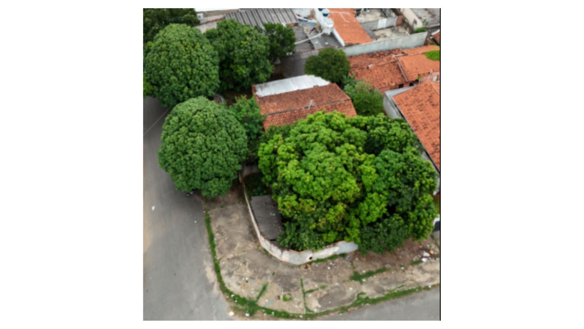 Terreno/Lote à venda, Parque Amazônia, Goiânia | Mais Novos Imóveis, foto 5